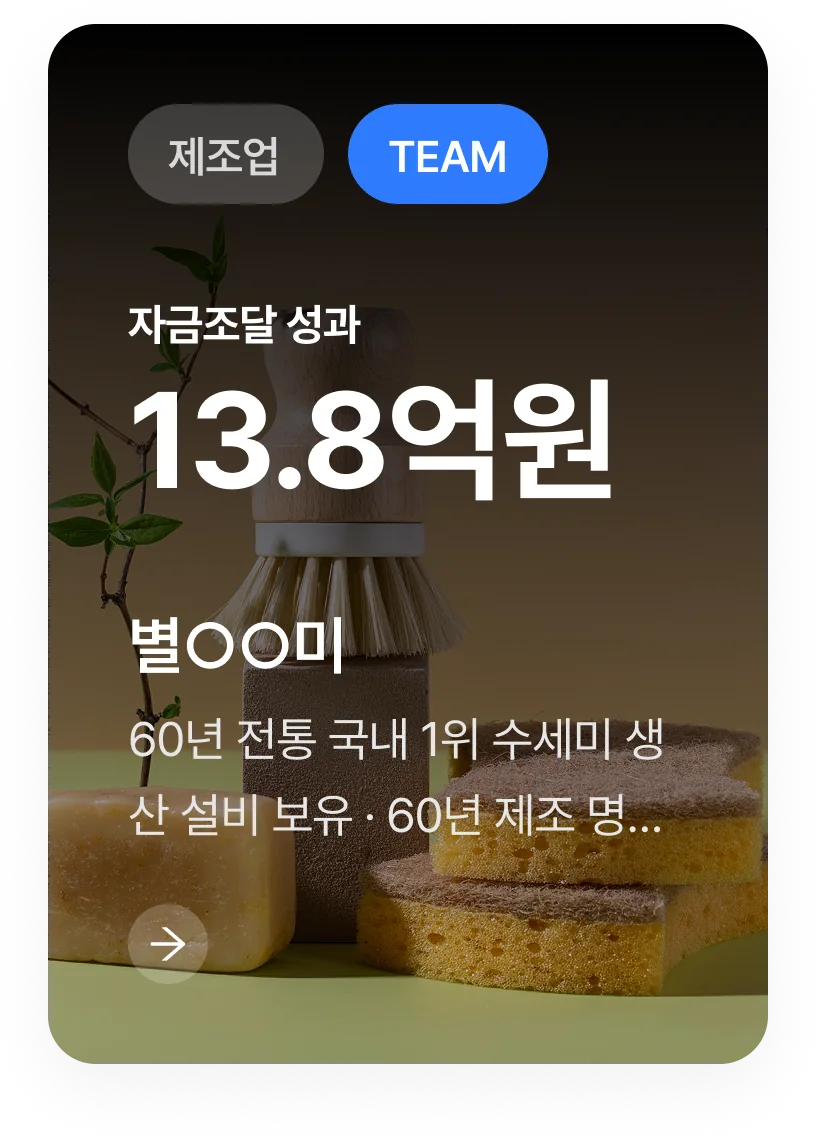 자금조달 성공사례 4 — 별○○미